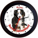 Tieruhr Berner Sennenhund